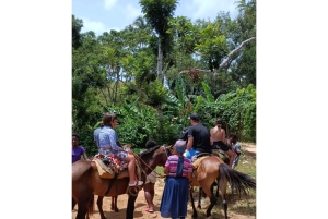 Punta Cana: Dagsudflugt til Samaná med El Limón-vandfaldet