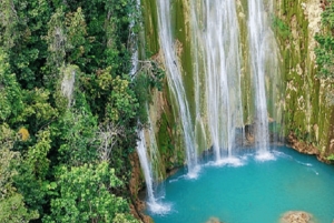 Punta Cana: Samana Full Day Tour with Lunch