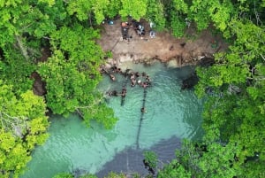 Punta Cana: Samana Safari Panoramic City Tour + Playa Rincon