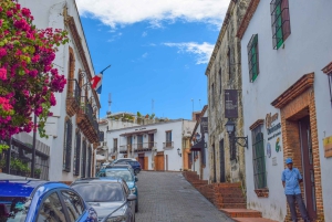 Punta Cana: Santo Domingo Day Trip with Tickets and Lunch