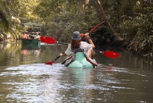 Quepos: Kayak Tour in the Mangroves Near Manuel Antonio Park