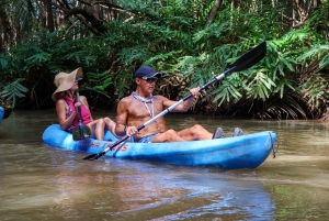Quepos: Kayak Tour in the Mangroves Near Manuel Antonio Park