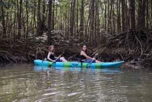 Quepos: Kayak Tour in the Mangroves Near Manuel Antonio Park