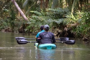 Quepos: Kayak Tour in the Mangroves Near Manuel Antonio Park