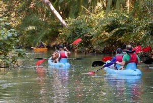 Quepos: Kayak Tour in the Mangroves Near Manuel Antonio Park