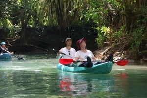 Quepos: Kayak Tour in the Mangroves Near Manuel Antonio Park