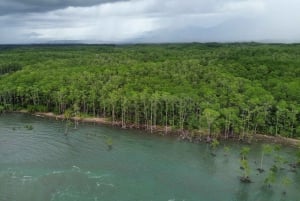 Quepos: Kayak Tour in the Mangroves Near Manuel Antonio Park