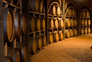 Querétaro: San Miguel & Vin på en dag.