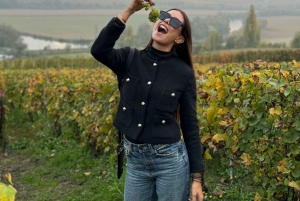 Reims: Moët & Chandon ja perheyrityksenä toimiva viinitila – matkapäivä ja lounas