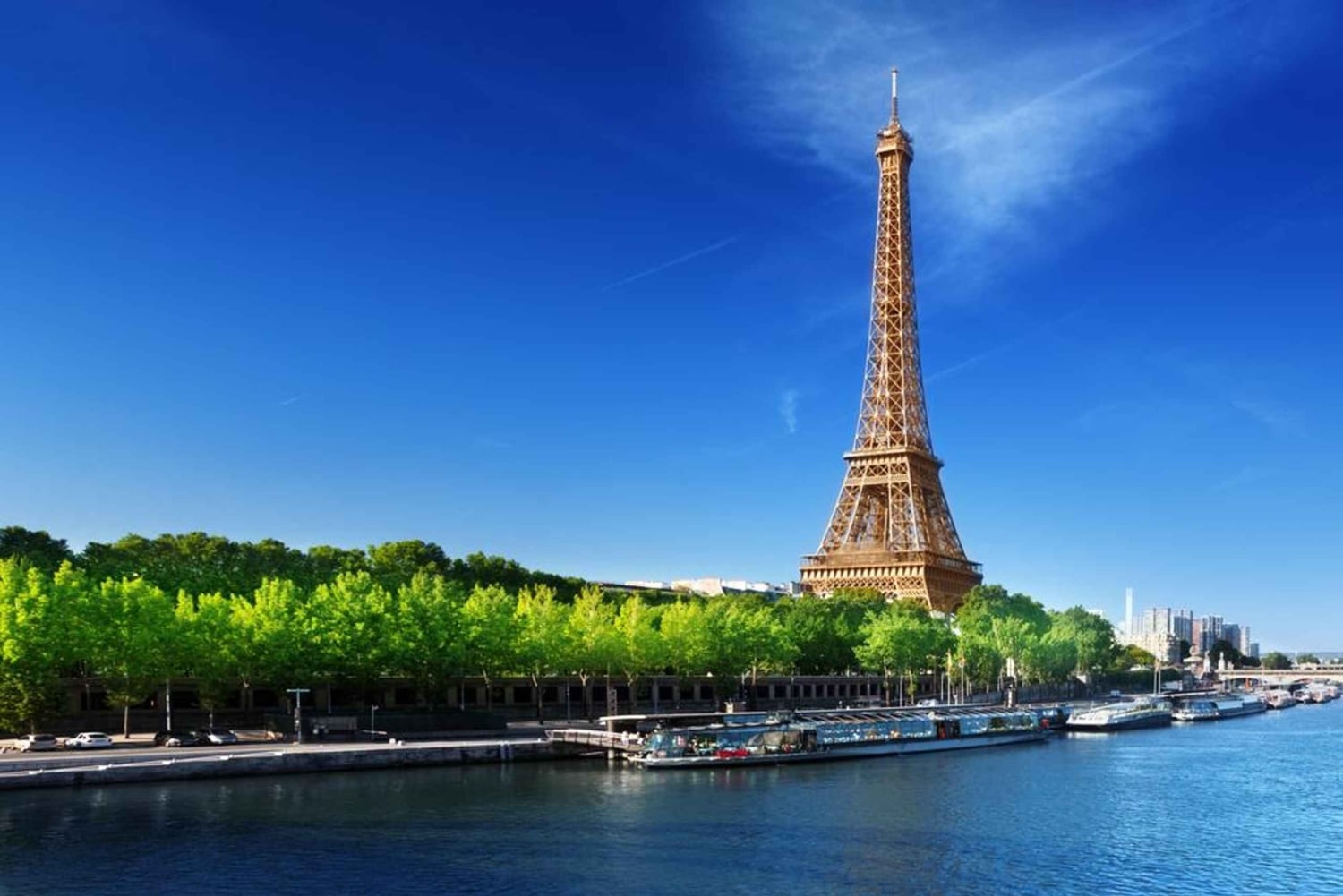 Reserved Access Eiffel Tower Tour Trocadero & Champagne