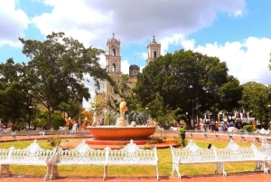 Riviera Maya: Chichen Itza, Valladolid & Cenote Zwemtour