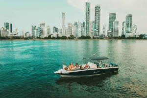 Ilhas do Rosário: tour particular de lancha rápida saindo de Cartagena
