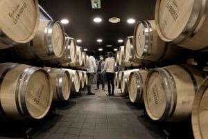 Saint-Émilion : Visite d'un grand cru classé et dégustation