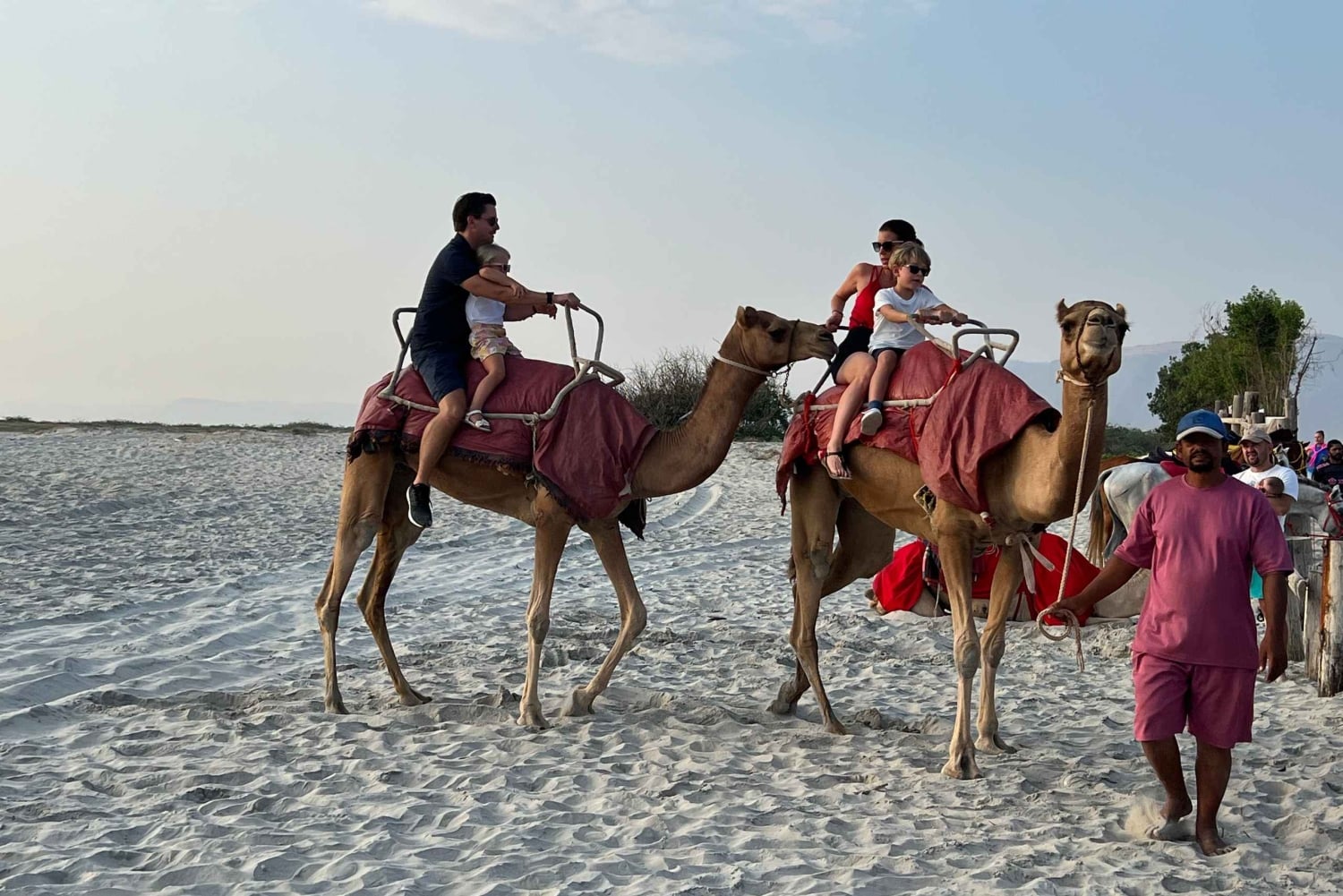 Salalah: Camel Riding on the Beach
