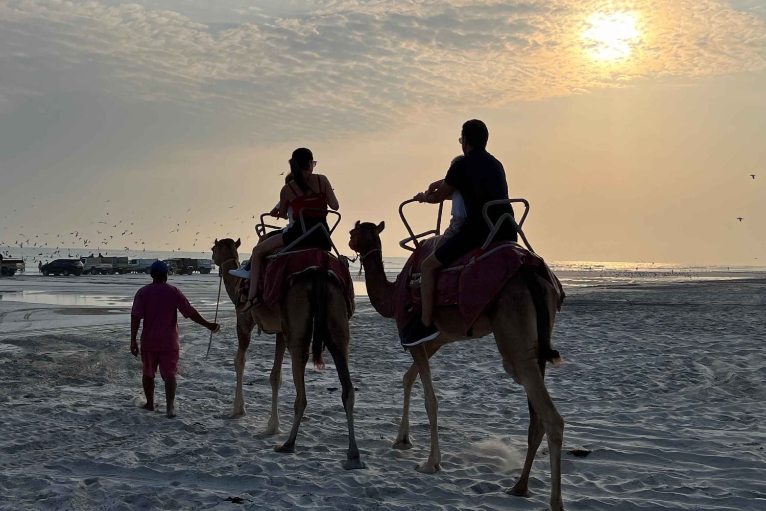 Salalah: Camel Riding on the Beach