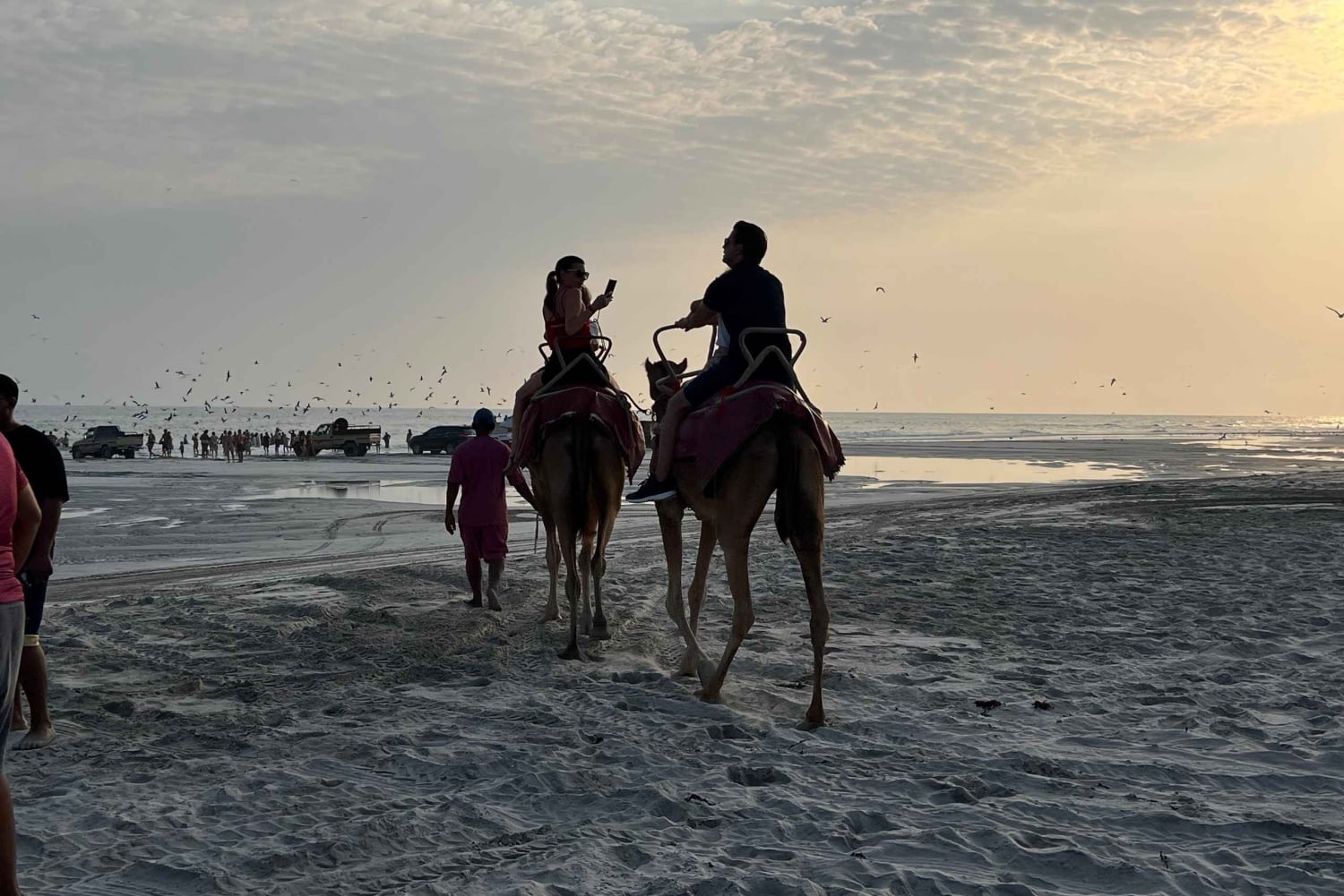 Salalah: Camel Riding on the Beach