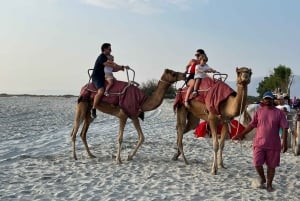 Salalah: Camel Riding on the Beach