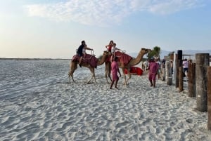 Salalah: Camel Riding on the Beach