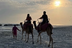 Salalah: Camel Riding on the Beach