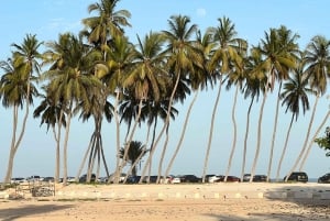Salalah: Camel Riding on the Beach