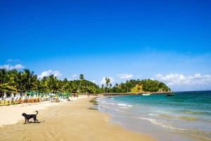Salvador: Dos Frades & Itaparica Islands Full-Day Boat Tour