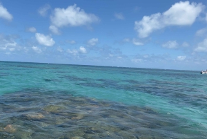 Salvador: Dos Frades & Itaparica Islands Full-Day Boat Tour