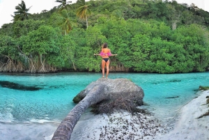 Samaná desde Punta Cana: Cayo Levantado y Cascada El Limón
