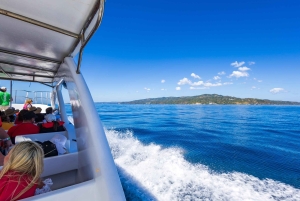 Samaná desde Punta Cana: Cayo Levantado y Cascada El Limón