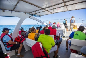 Samaná desde Punta Cana: Cayo Levantado y Cascada El Limón