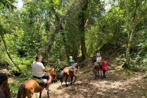 Samaná desde Punta Cana: Cayo Levantado y Cascada El Limón