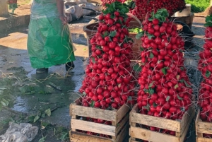 San Cristóbal de las Casas: Hiking to Indigenous Communities