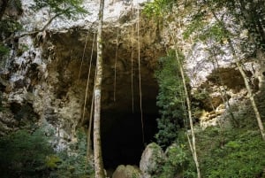 San Ignacio: Excursión de un día a las ruinas mayas de Caracol con comida