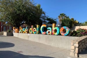 San Jose del Cabo: City Tour & Palmilla Beach Visit