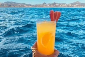 San José del Cabo: Private Sunset Cruise