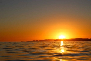 San Jose del Cabo Sunset cruise
