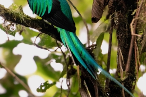 San José: Vulcão Irazú e Aventura Quetzal