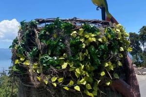 Тур по Сан-Хуану и Сан-Педро: сердце майяского искусства в Атитлане