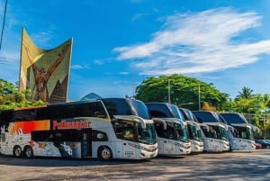 San Salvadorz: Convenient bus transfer from/to Guatemala