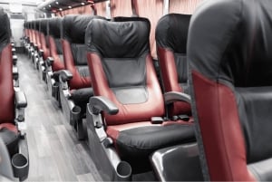 San Salvadorz: Convenient bus transfer from/to Guatemala