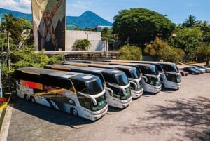 San Salvadorz: Convenient bus transfer from/to Guatemala
