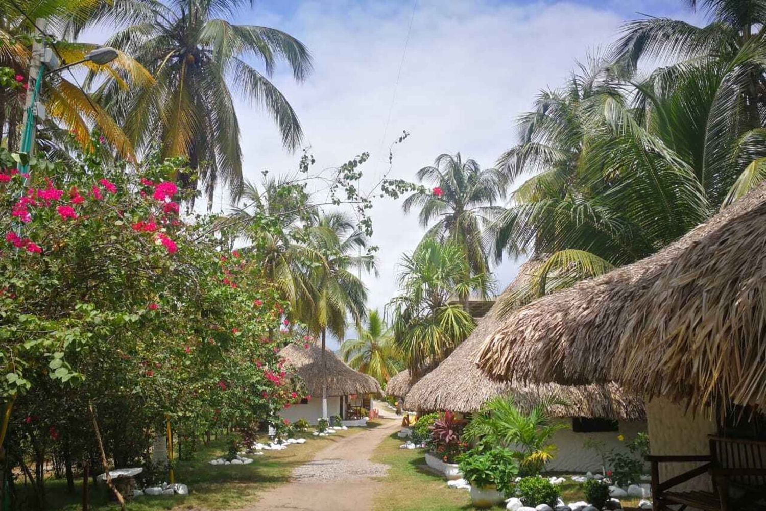 SANTAMARTA: TOUR Palomino, Magdalena. Breakfast and Lunch Included