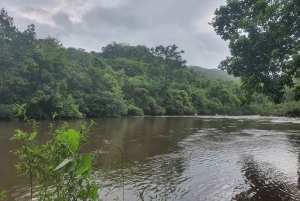 SANTAMARTA: TOUR Palomino, Magdalena. Breakfast and Lunch Included