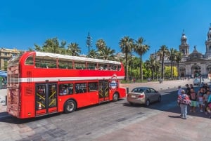 Santiago: 1-Day Hop-On Hop-Off Bus and Cable Car Ticket