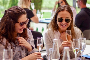 Santiago: Vinícolas Exclusivas de Casablanca e Restaurante Tanino