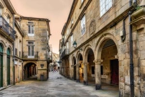 Santiago: City Highlights Guided Walking Tour