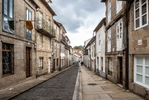 Santiago: City Highlights Guided Walking Tour
