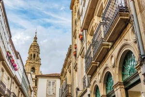 Santiago: City Highlights Guided Walking Tour