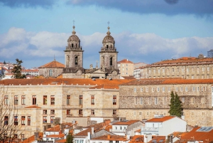 Santiago: City Highlights Guided Walking Tour