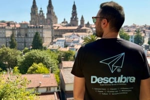 Santiago: City Highlights Guided Walking Tour