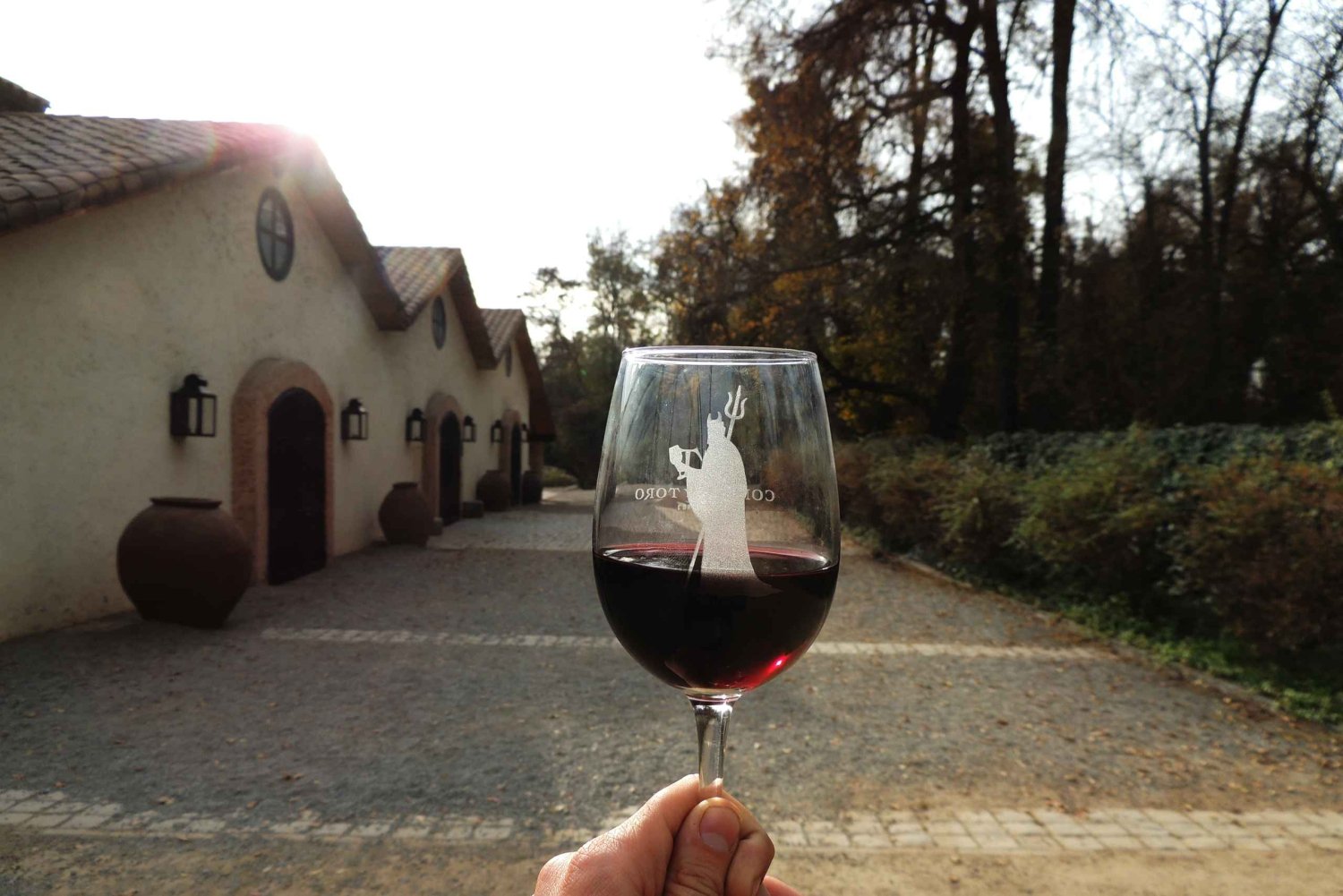 Santiago: Concha y Toro and Undurraga Vineyards Tour